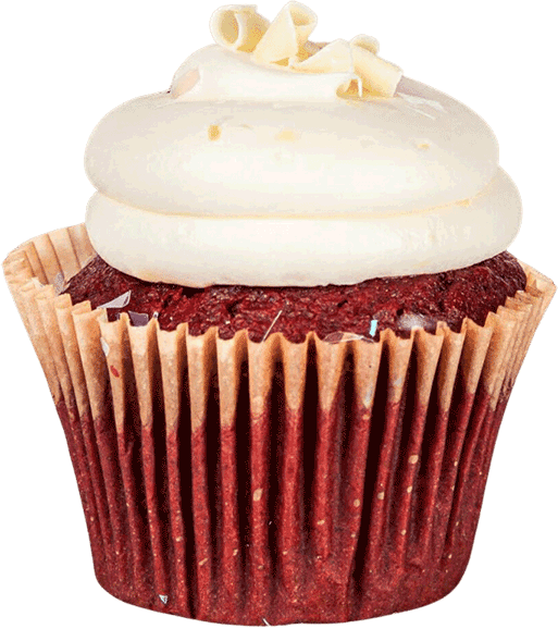 Chocolate Cupcake with Vanilla Icing at Smallcakes