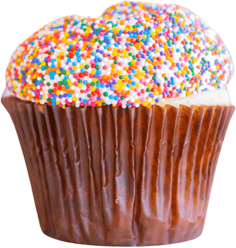 Sprinkled Cupcake at Smallcakes